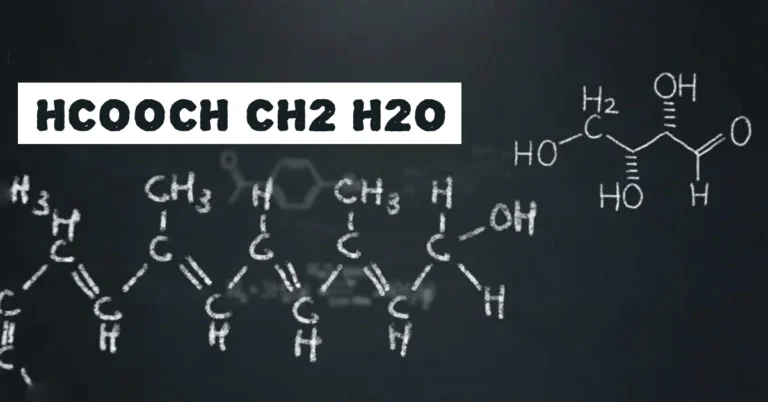 HCOOCH CH2 H2O: Complete Guide to Methyl Formate Hydrolysis