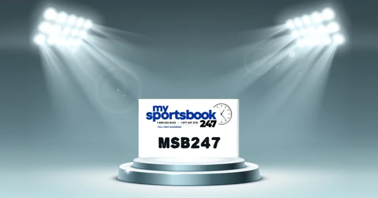 MSB247: Your Complete Guide to Secure Access and Platform Features