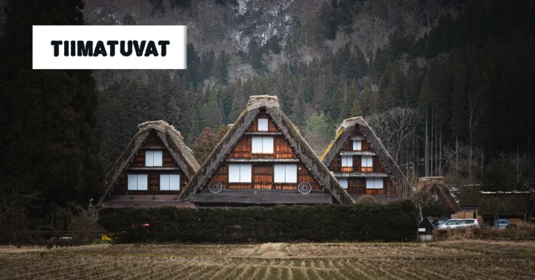 Tiimatuvat: Your Complete Guide to Finnish Log Houses