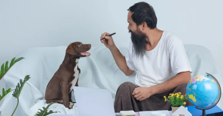 Am I Ready for a Pet? Key Questions to Ask Yourself Before Bringing One Home