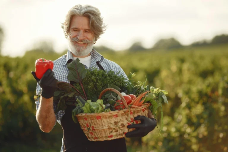 Running a Farm Like a CEO: Smart Equipment Strategies for Agricultural Entrepreneurs